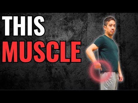 Train THIS Every Day