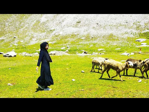 Nature beauty Sonamarg 💚 KASHMIR. On the way from Kashmir to Kargil |Ladakh|
