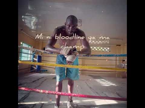 Mc Dingo boom bap freestyle lyric video.