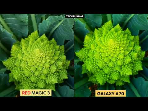 Samsung galaxy A70 vs Nubia Red magic 3 camera comparison test | #Redmagic3, #GalaxyA70, #TECHBUKHAR