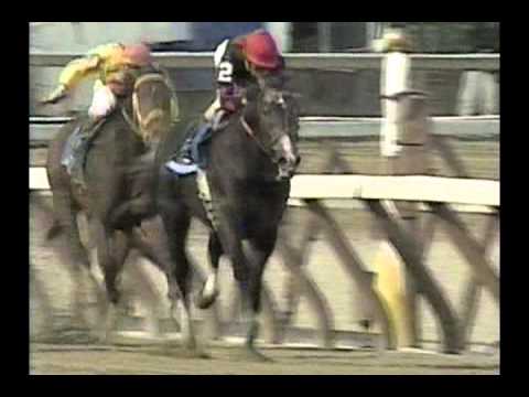 1996 Wood Memorial Stakes - Unbridled's Song