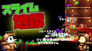テラリアpart2　楽しい洞窟探検！のはずが…