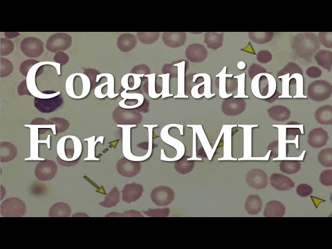 Hemostasis for USMLE Step 1 | Platelet Plug, Coagulation Cascade, and Bleeding Disorders