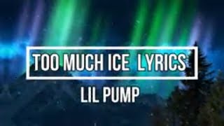 Too Much Ice (Lyrics) - Lil Pump Ft. Quavo (Harverd Dropout Album)
