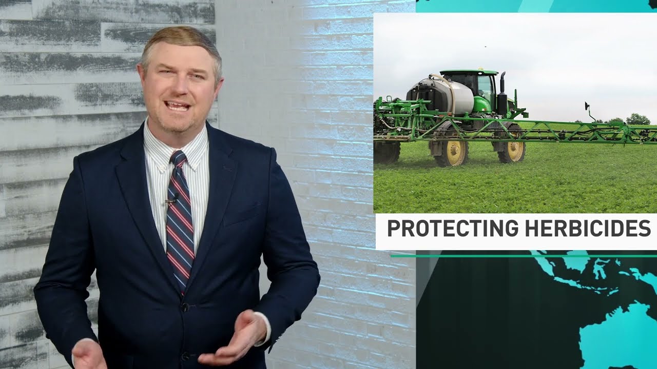 AgDay In Depth What Does an Executive Order About Ag Products Mean for Producers?