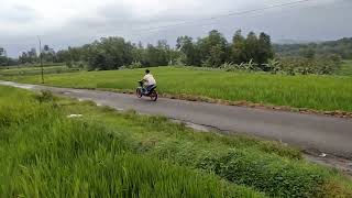 Download lagu SETING SATRIA FU ROAD RACE, TERBANG TERBANG mp3