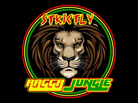 BEST JUNGLIST DRUM AND BASS MIX 2021 - DJ SILVA B - LIVE AND DIRECT 26-10-2021