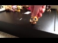LPS Unfabulous Voice Over Auditions CLOSED