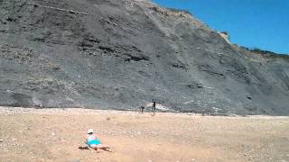 preview picture of video 'Charmouth Fossil Hunting'