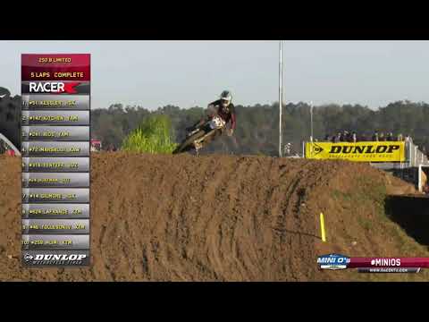 2019 Mini O's MX - 250 B Limited