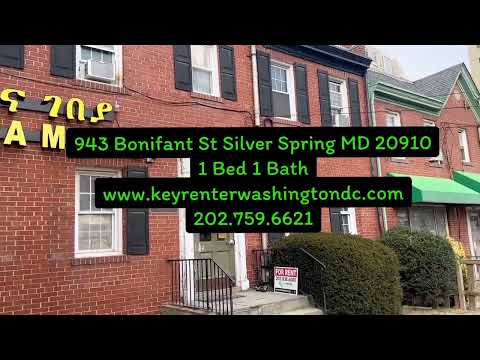 943 Bonifant St - Video 2 of 2