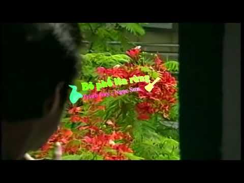 Thể hiện bởi Ngọc Sơn