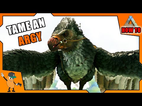 Argy Ark