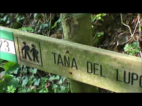 SISTEMAZIONE SENTIERI NATURA 2017