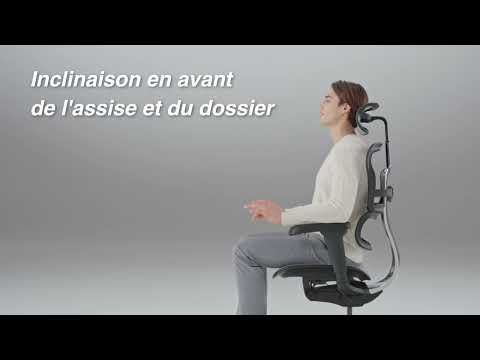 Fauteuil professionnel ergonomique ERGOHUMAN CLASSIQUE