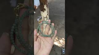 Video 3