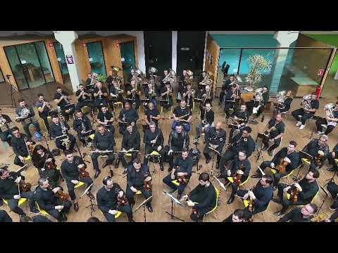 Firme nas mãos de Cristo - Hino 251 CCB