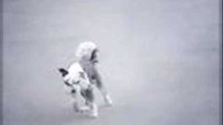 Tanja La Croix-Need More(original mix)