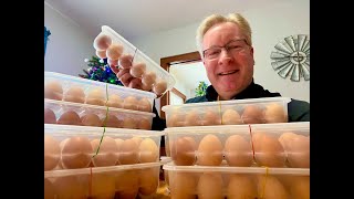 Can You Make Money Selling Eggs? Winter 2022/2023 Analysis