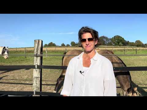 Darf man ein erfolgloses Verladetraining abbrechen?