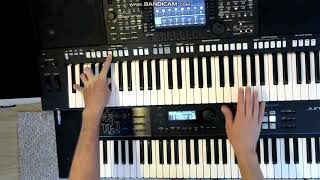Sandra - Change Your Mind cover instrumental keyboard