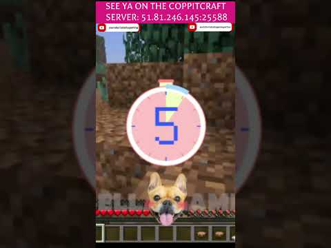 Insane Minecraft Trivia - Can You Beat It?!