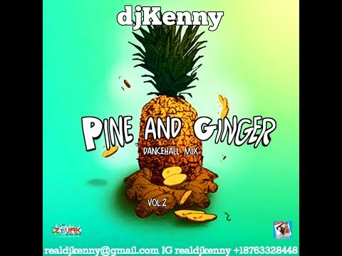 DJ KENNY PINE AND GINGER DANCEHALL MIX VOL 2. DEC 2017