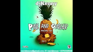 DJ KENNY PINE AND GINGER DANCEHALL MIX VOL 2. DEC 2017