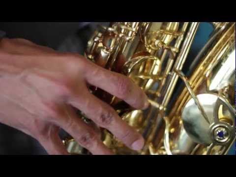 Skyfall by Adele saxophone cover by Amin Baghallian