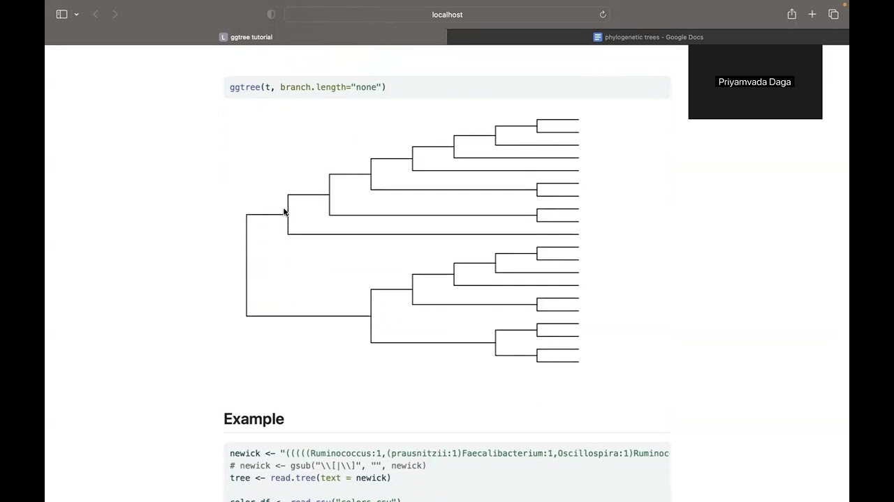 ggtree tutorial