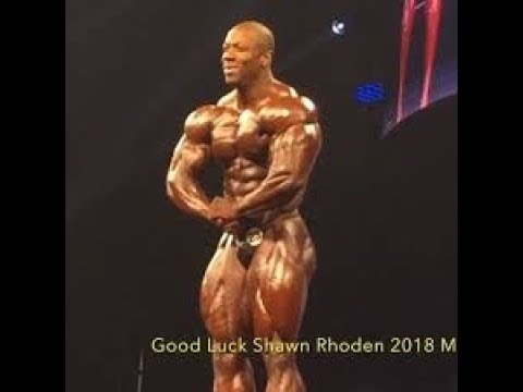 Shawn Rhoden MR.OLYMPIA 2018 - Prejudging