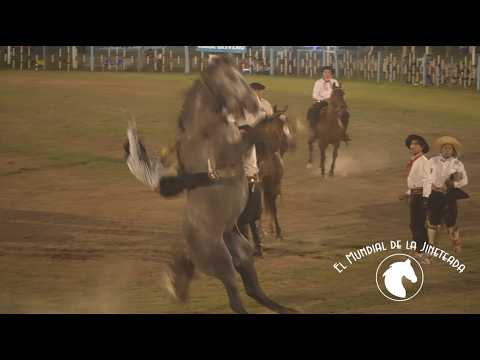De Las Varillas a Dolores - El Mundial de la Jineteada 196