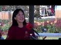 Foodtruck Asian Taste
