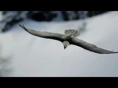 Nationalpark Hohe Tauern Imagefilm