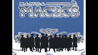 banda machos ------ Esta cobardia