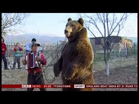 Brown (dancing) bear sanctuary (Bulgaria) - BBC News - 4th August 2018