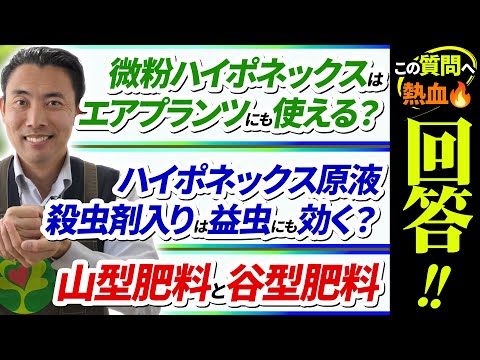 園芸 タンジー肥料