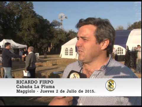 02-07-15 Nota Ricardo Firpo - Cabaña La Pluma de Firpo - Maggiolo.