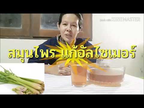 #โรคอัลไซเมอร์#สูตรสมุนไพรแก้โรคอัลไซเมอร์|Herbs for Health family
