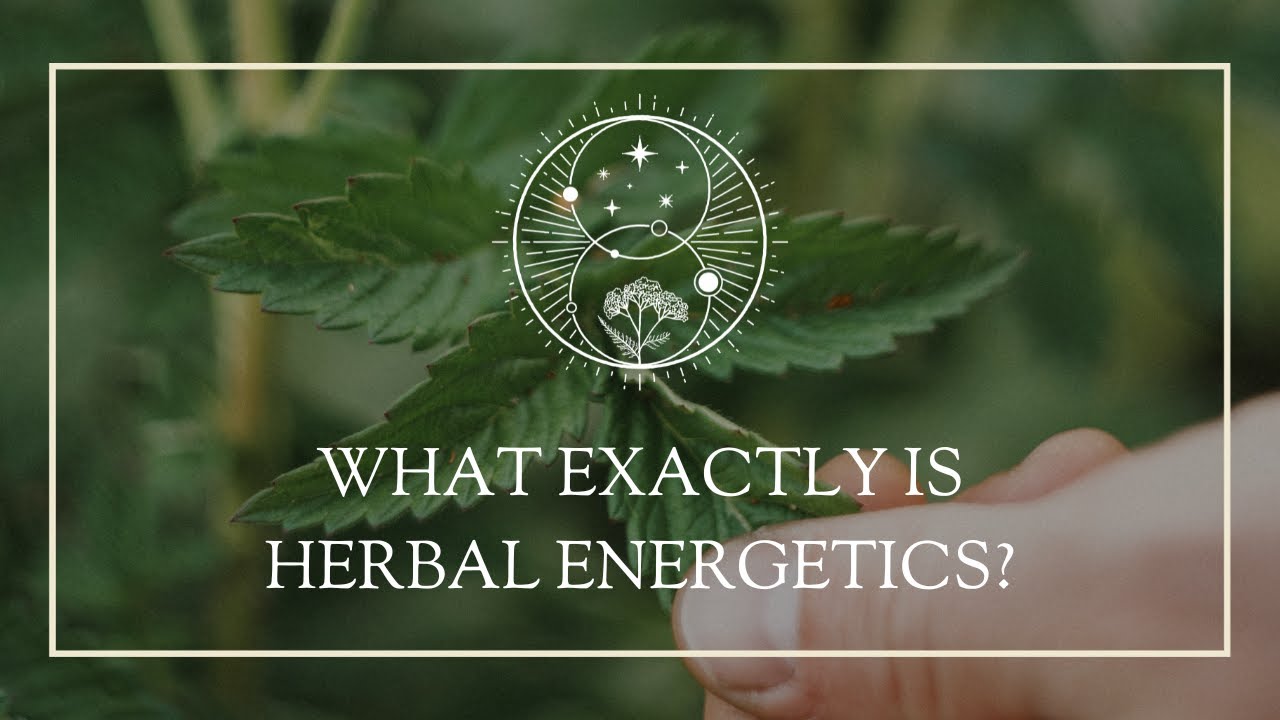 What Exactly is Herbal Energetics? - YouTube