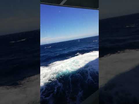 Windstärke 7 auf der AIDAnova im Westlichen Mittelmeer