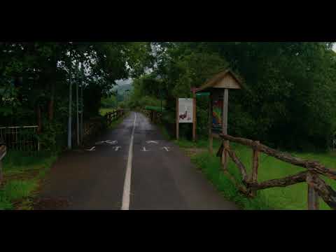 Paseo por la vía verde de Arditurri (Oiartzun 3 junio 2021) 4K