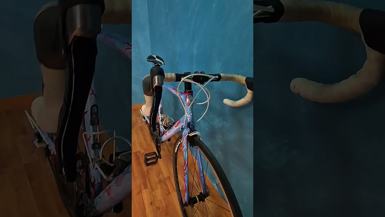 Il mio mare - bici Stradale (167 - 174 cm)