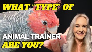 Putting a Label on Animal Training. What’s in a Name?
