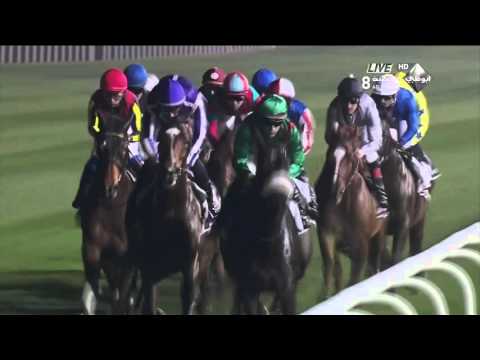 Dubai Sheema Classic 2013 G1 - ST NICHOLAS ABBEY