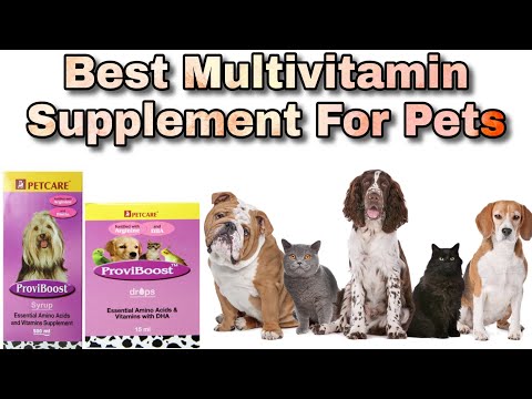 Petcare Proviboost Syrup:, Packaging Size: 500 ml