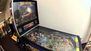 preview picture of video 'Gary Strern Autograph Big Buck Hunter Pro Pinball'