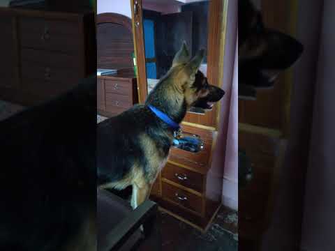 looking her own reflection first time on the mirror soo innocent she is