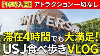 【16時入園】滞在4時間でも大満足！アトラクション一切なしのUSJ食べ歩きVLOG