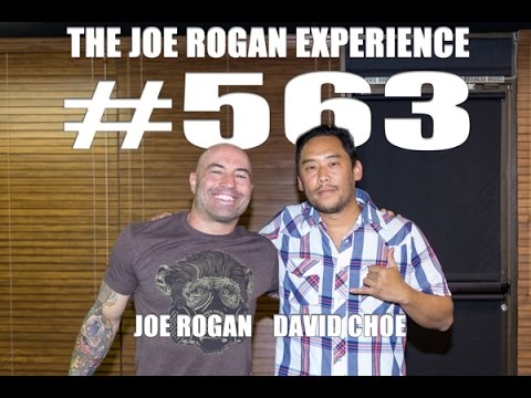 Joe Rogan Experience #563 - David Choe